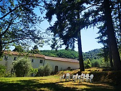 Giardino nel bosco