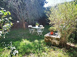 Giardino vicino alla sala corsi